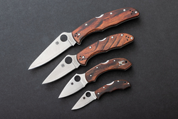 Best Spyderco Knives